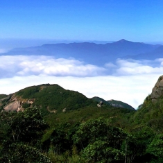 高山云雾似仙境