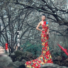 古木迎春