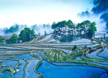 群山云海雾梯田———元阳，坝达
