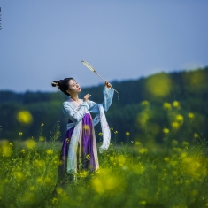 油菜花开