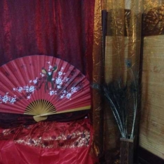 2015.11.08第259期[广西新视野部落]摄影(精品)活动