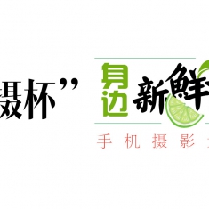 “微摄杯”身边新鲜事手机摄影大赛
