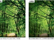 如何把握春天的颜色