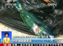 [广西柳州]闪光灯惹的祸 水族馆上百条热带鱼死亡