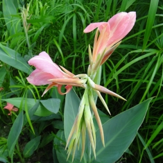 花不少