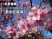 小机器也能让你惊艳 DC春季拍花攻略