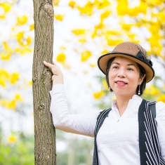 黄风铃花·靓女