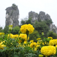 七星公园，北斗落桂林