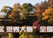 “红色老区 灵秀大悟”全国摄影大展征稿启事