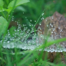 晶莹剔透
