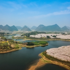 航拍贵州贵安万亩樱花园
