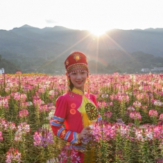 花田美女
