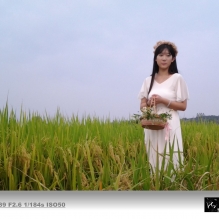 绿野仙踪   三星I739