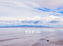 【@越林帆 西行漫夏】青海茶卡寻梦+银川大话西游【上】