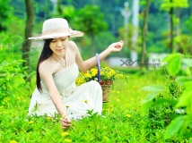 2012年度第三季（Ⅴ）——采花仙子