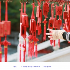 银杏初黄时