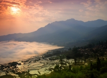 朝阳·云海·梯田·小山村———云南元阳，多依树