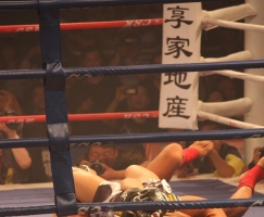 WBC自由搏击赛(南宁站)