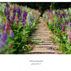 花-魂3