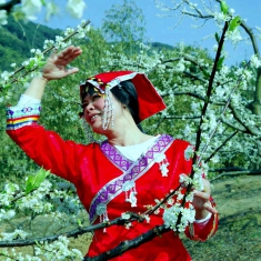 山寨李花开瑶嫲乐逍遥