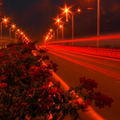 大桥夜景