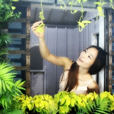 幽夏小时光