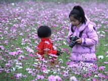 花海里的小摄影师