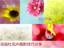 花卉摄影新玩法 "花痴社"技巧分享