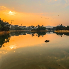 龙景湖早晨