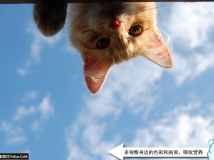 初学者快速提高摄影水平