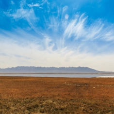 自驾行摄（之二十八）青海海西  尕海湿地