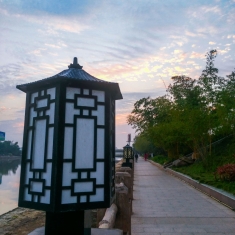 清晨河边散步（二）