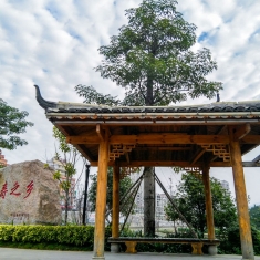 清晨河边散步（五）