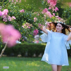 2016紫微花开