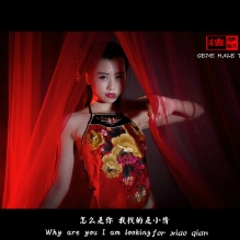 玲玲女神倾情演绎-------《梦红楼》