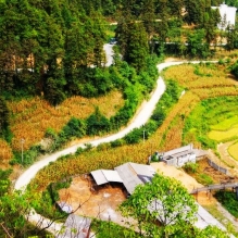 山路弯弯。。。。。。