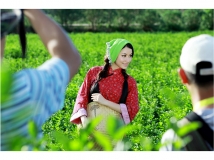 2012年度第三季（Ⅸ）——爱如花期