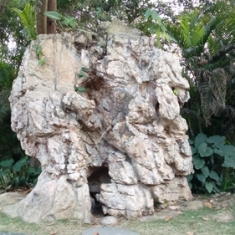 赏花玩石好心情