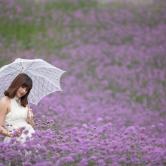 花海倩影