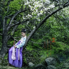 碗窑村梨花谷