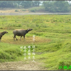 外拍历险记！