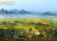 “美丽柳江我的家”散文摄影比赛征稿启事