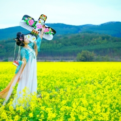 2025年度第一季（Ⅱ）—— 油菜花开