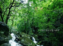 拍摄于武宣百崖大峡谷风光