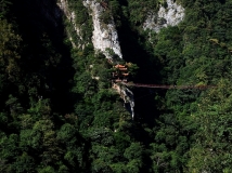 龙胜江底森林公园