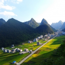 随手拍:幸福大道