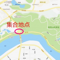 【新艺摄影】青环路三角梅，4月10日周日下午~