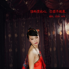谁怜度娘心，白首不相离。新视野部落@牛牛出品