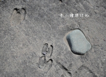顶  呆小猪旅行记……银川 中卫 西安 RP冒泡