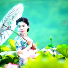 梦怡荷塘